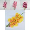 Phalaenopsis Künstliche Orchidee 3d Realistisch Mehrstielig Für Heimdeko Hochzeit