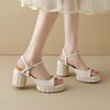 Coarse Heeled Women's Sandals for Spring and Summer 2026
