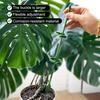 Tije extensibile pentru plante Set de tije de susținere pentru plante cu cleme mobile Tije reglabile de susținere pentru Monstera pentru plante de interior și exterior Roșii Orhidee