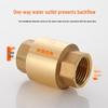 All-Copper 1-Inch Vertical Spring Check Valve with Male/Female Threads, One-Way Backflow Preventer for Water Pipes and Meters.