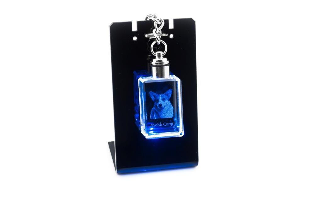 Pembroke Welsh Corgi - Crystal Key Ring with Dog Photo, Illuminated Key Ring, Unique Gift by Art-Dog Brand