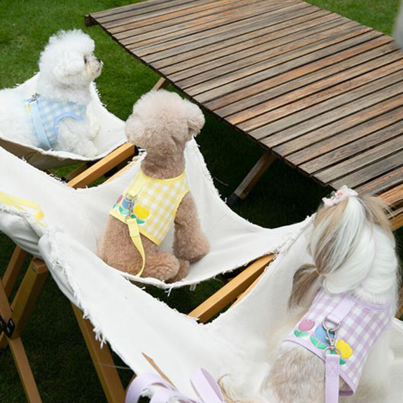 Bowdog Tulip Harness + Leash Set Dog Walking Supplies