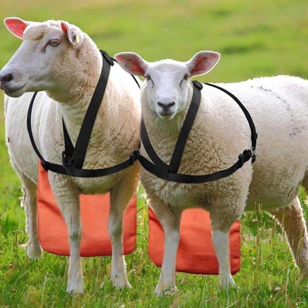 Breathable Breeding Control Goats Skirt Wear Resistant Anti Mating Sheep Skirt Livestock Accessory