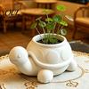 Niche Plant Pot for Desk 3D Printed Turtle Succulents Pot, Cute Animal Planter Indoor Plants, Decorative Desktop Modern Balcony Decor Flowerpot