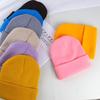 2pcs Light Board Knitted Hat Winter Wool Hat Men's And Women's Warm Hat