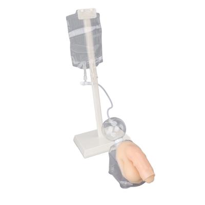 Male Urethral Catheterization Simulator Fluid Circulation System Urinary Catheterization Model for Students Nurses