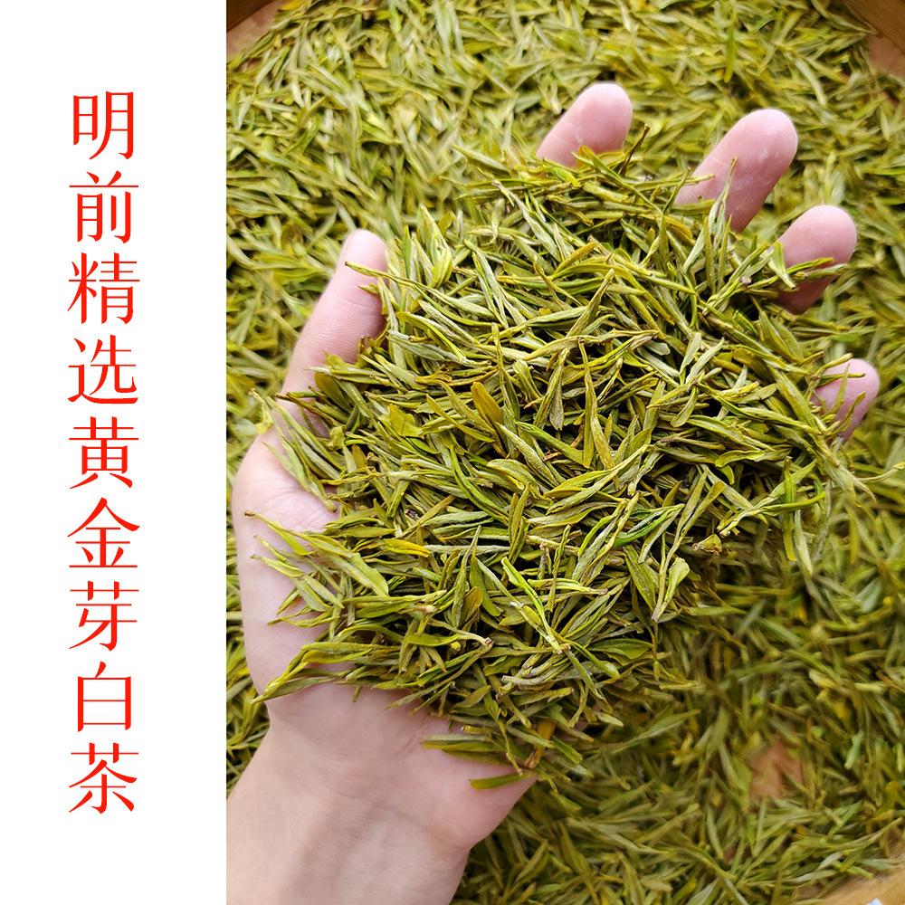 2026 New Tea Mingqian Selected Golden Bud White Tea Wholesale 500g Alpine Green Tea Hui Ganlan Fragrance Bulk