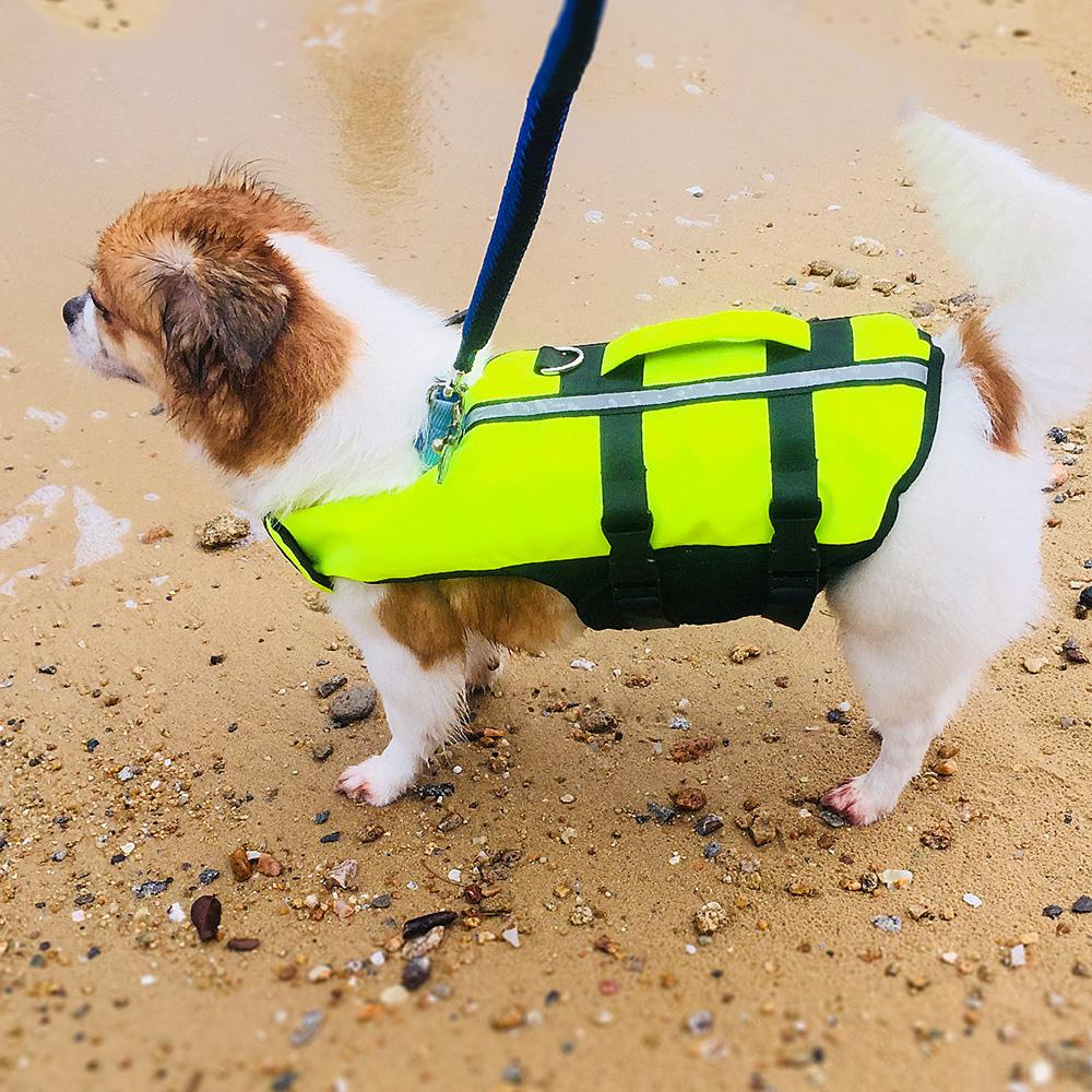protective jacket for dogs