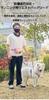 Homie Pettie Multifunctional Dog Shoulder Crossbody Car Adjustable Length 30cm Shock 3M Reflective Gradient High Long and Short for Large and Medium