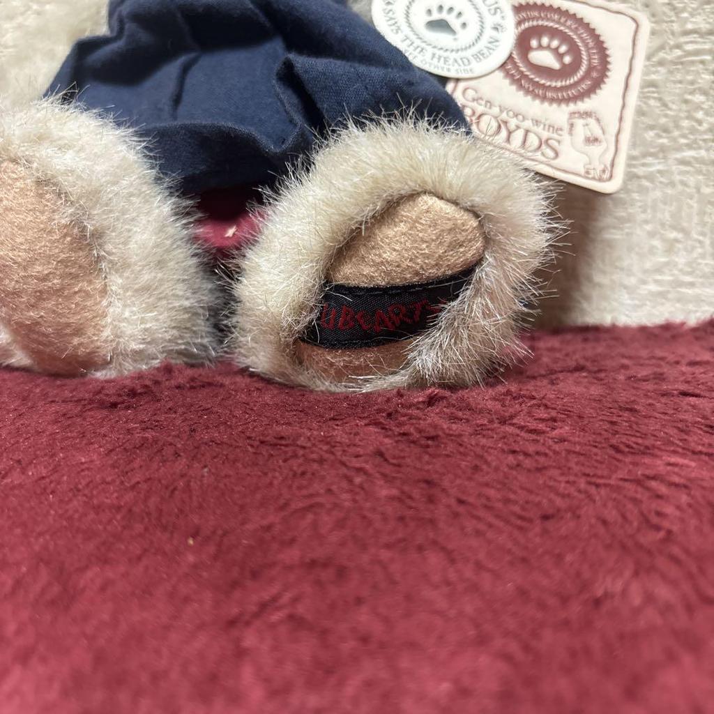 [USED] Boyds Bears Teddy Bear