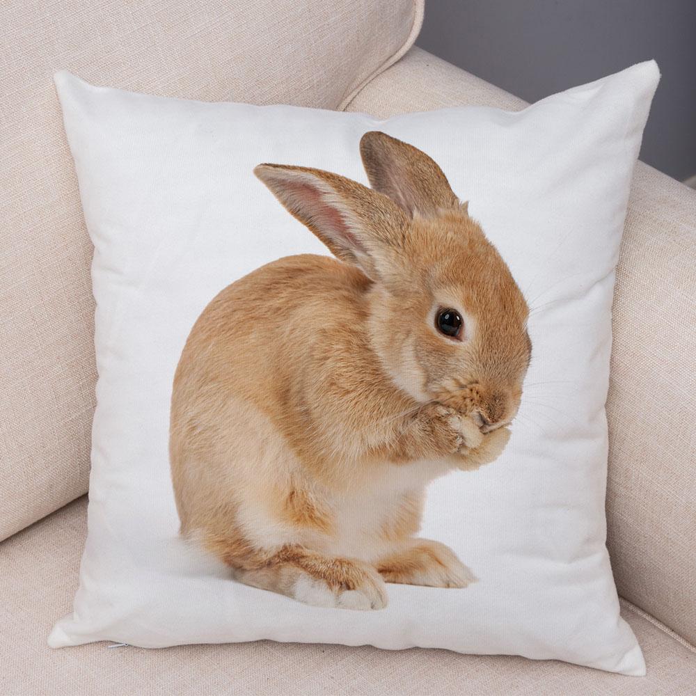 Home Sofa Kids Room Decor Cute Pet Animal Print Cushion Cover Pillowcase  Rabbit