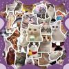 300 Patina Cat Meme Stickers - Cute & Funny Ghost Cat Emoji Style