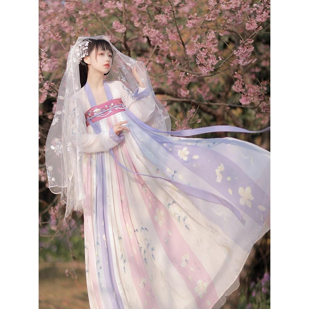 Chinese Tang Dynasty Style Hanfu Embroidery Daily Suit For Women