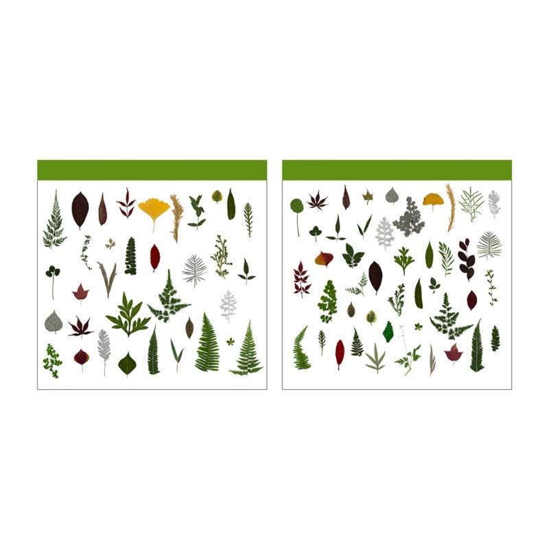 4Packs Dried Plant Specimens Craft Supplies 120 Real Pressed Leaves For DIY Jewelry Home Decors Natural Plant Materials Set