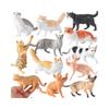 Cross-Border Cat Simulation Models: Persian, Hairless, Ragdoll, Orange, Leopard, Maine Coon, Siamese