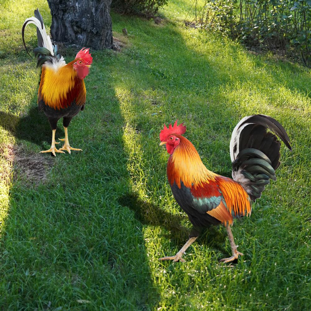 Acrylic Rooster Garden Decoration Stake with Weatherproof Features for Yard and Lawn Use to Create a Welcoming Outdoor Space