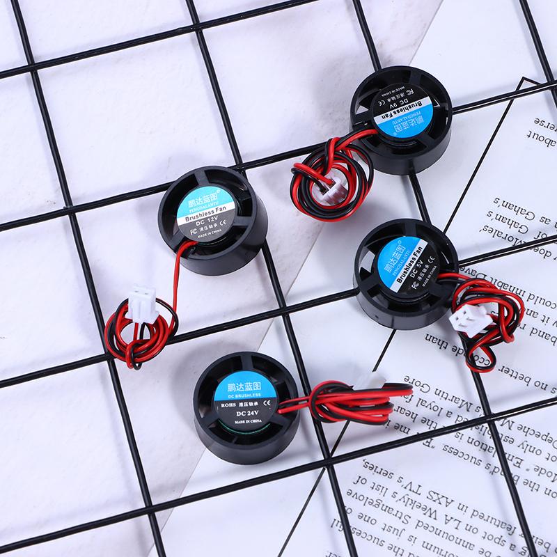 Mini 2510 25*10Mm Dc 5V 9V 12V 24V Kulatý 2-Pin Chladič Bezkomutátorový Chladič Čipové Sady Tichý Mini Notebook Mikro Chladicí Ventilátor