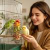 Bird Food Holder Foraging Treat Tray Bird Bowls for Cage for Parakeet Cockatiel Parrot Conure Canary Quaker Finch Pet