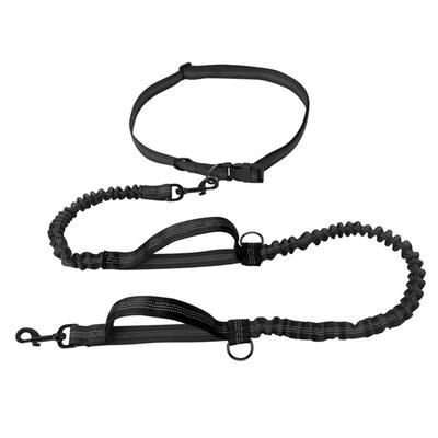 Adjustable Portable Running Pet Leash with Dual Handles, Night Reflective and Retractable Dog Leash