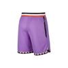 Nike Basketball Shorts Men's Purple AT3151-505