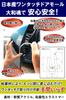Door Molding with Adhesive Door Guard Made in Japan Car