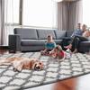 Luxury Geometric White Checkered Area Rug Ultra Soft Polyester, High Pile,Non Slip, Modern, Indoor, Playroom, Bedroom, Living Room, Nursery Rug