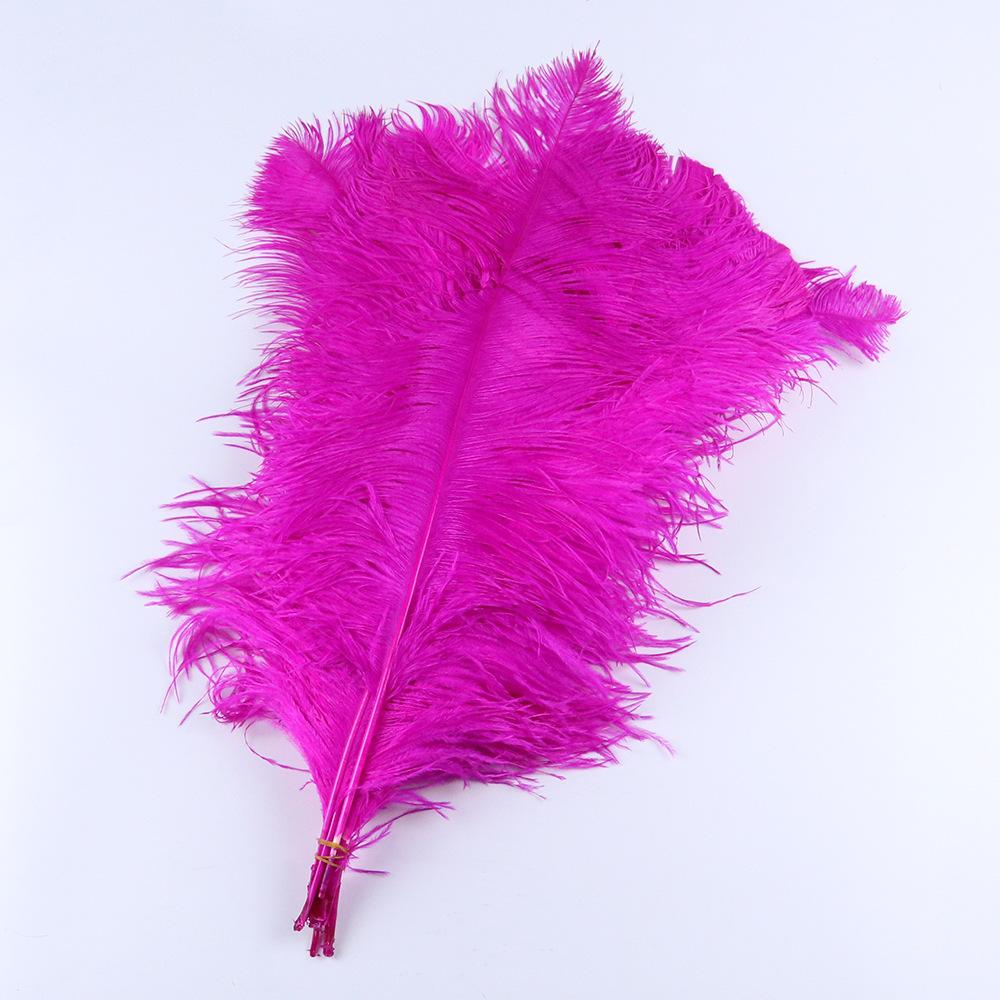 Struisvogelhaar 60-65Cm Zuid-Afrikaans Geïmporteerd Veer Sieraden Accessoires Mode Populair Decoratieve Ornamenten Dons Katoen