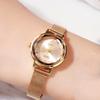 Small Student Watch, Simple Literary Waterproof Stainless Steel Mesh Belt Watch, Women'S Versatile Quartz Watch