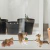 OUNONA Squirrel Figurine PVC Micro Landscape Miniature Garden Tabletop Indoor and Outdoor Cute Animal Figures 8-Piece Set, Decorations, Decor, Use,
