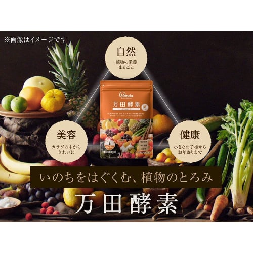 Manda Fermentation Manda Enzyme Ginger Paste (Sachets) 77.5g (2.5g x 31 Sachets) x 3