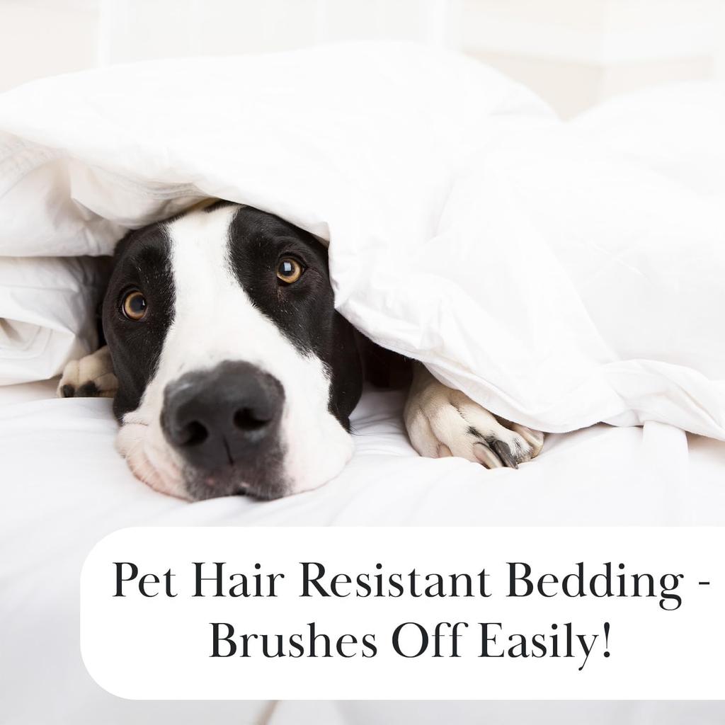 XL Twin Quilt Set, Microfiber Quilted Bedspread, Twin Bedding Coverlet Set with Pillow Sham, Wrinkle-Free, Stain & Pet Hair