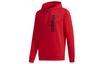 Sweatshirts Men's Red Hooded Moderate Regular FQ7993