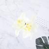 Haarspange, Urlaub am Meer, Orchidee, elegante und charmante Blumenspange, vielseitiges DIY-Accessoire für Mädchen
