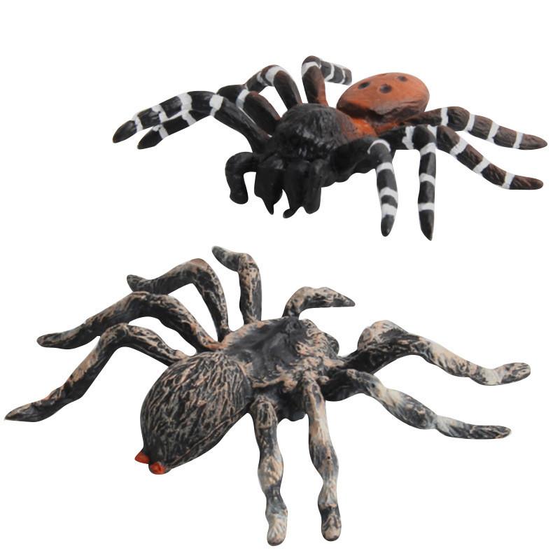 Spider Model Set With Plastic Material For Home Decor And Gift For Nature Lovers