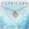 Amano Studio Zodiac Medallion - Capricorn Constellation Necklace Jewelry Capricorn Gift