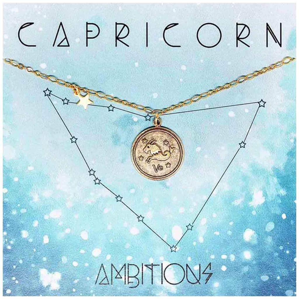 Amano Studio Zodiac Medallion - Capricorn Constellation Necklace Jewelry Capricorn Gift