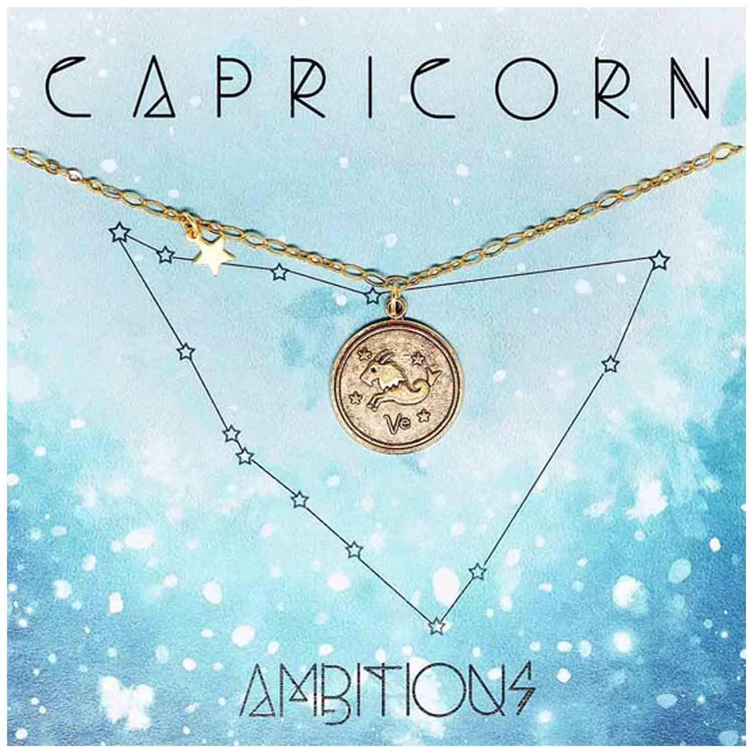 Amano Studio Zodiac Medallion - Capricorn Constellation Necklace Jewelry Capricorn Gift