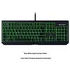 Razer BlackWidow Standard Edition Mechanical Gaming Keyboard