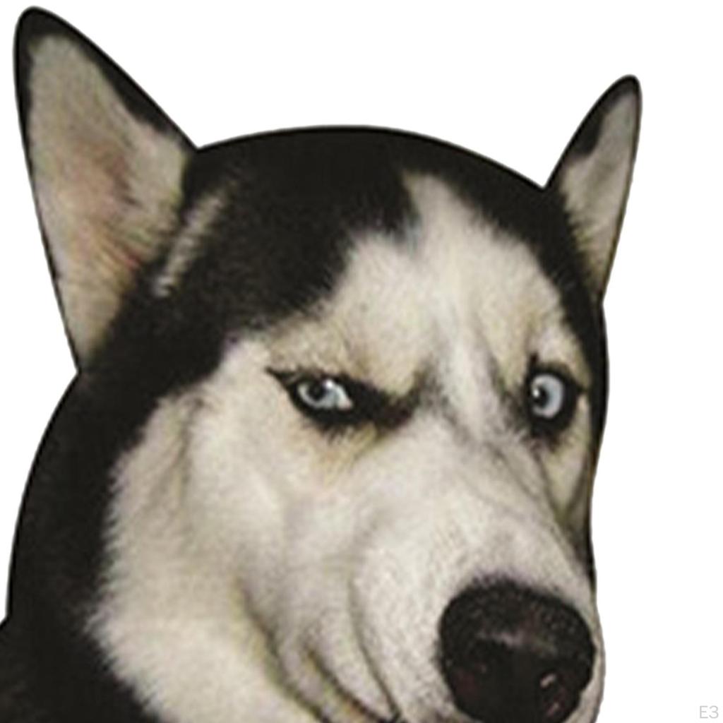 Autoaufkleber, Decals Wasserdicht Husky Hund für Boot Kratzaufkleber