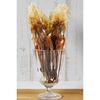 Tsumami Kura Official Domestic True Squid Dried Legs Sea Salt Flavor Surumeika Surume 500g Senari Shokai