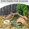 VCEPJH Snake Climbing Branch, 2Pcs Reptile Wood Natural Cork Log Tank Accessories Tree Trunk for Chameleon Bearded Dragon Gecko Snake Frog Spider