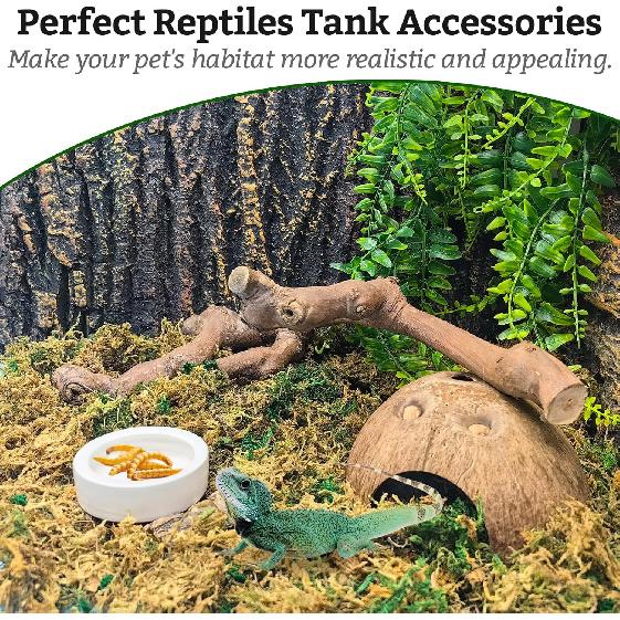 VCEPJH Snake Climbing Branch, 2Pcs Reptile Wood Natural Cork Log Tank Accessories Tree Trunk for Chameleon Bearded Dragon Gecko Snake Frog Spider