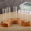 Glasvase mit gebogenem Holzfuß Nordische Kreative Reagenzglas Hydroponische Vase Dekoration Handwerk Heimdekoration Kunstgeschenk