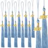 10Pcs Graduation Tassel with Date Mortarboard Tassel Fringe for Graduation Party Decorations Accesorios Graduation Hat Tassel