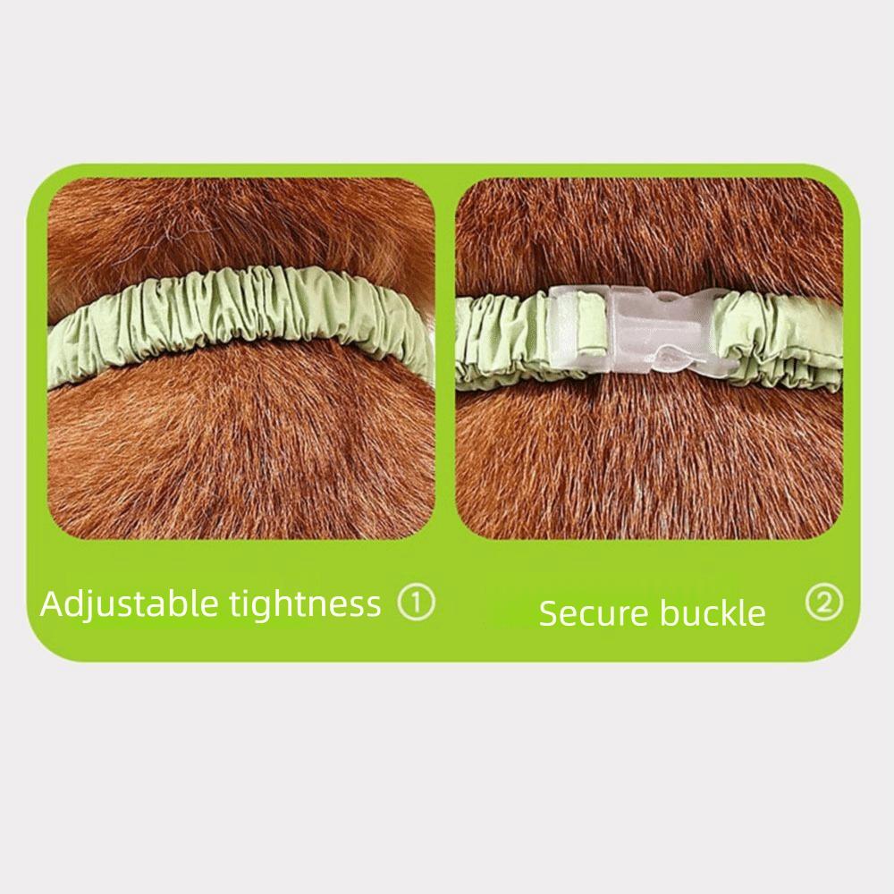 Hochelastische Hundebekleidung mit vier Beinen Atmungsaktiver Wasserdichter Hundeoverall Indoor