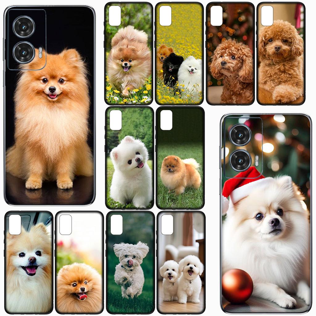 Cover for OPPO A40 A80 A60 A38 A79 A15 A16 A17 A18 A58 A78 A57 A53 A40M 4G 5G Phone Case Bichon Frise Pomeranian Poodle Dog