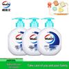 Walch Foaming Antibacterial Hand Soap 3-Pack