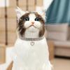 Neue Katze Hundehalsband Dreireihiges Elastisches Strass Haustierhalsbänder Liebesdekoration Halskette Welpe Kätzchen Ornament Haustierbedarf