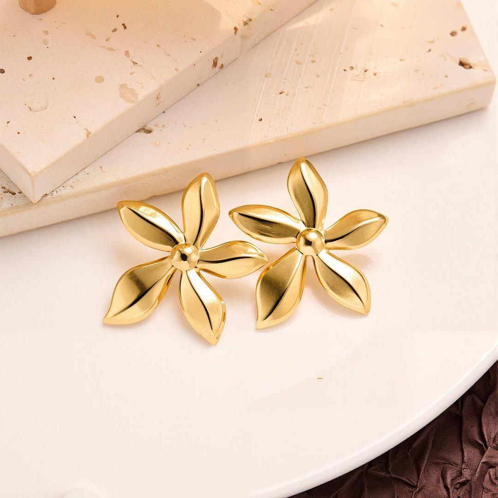 Geometric Irregular 18k Gold Titanium Steel Earrings for Women