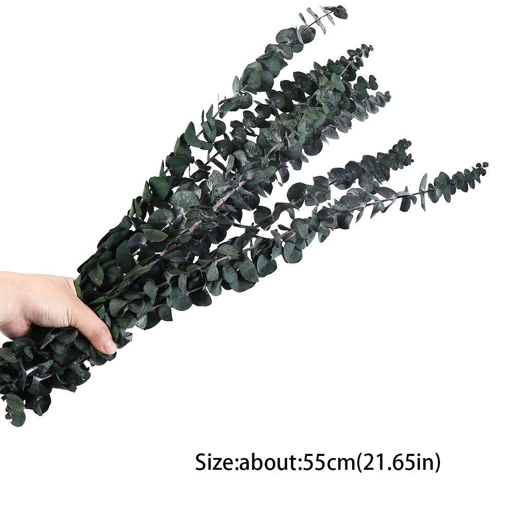 10 Pcs Real Leaves Hanging Dried Eucalyptus 22 inch Green Artificial Plants Flowers Made From Fresh Eucalyptus Large